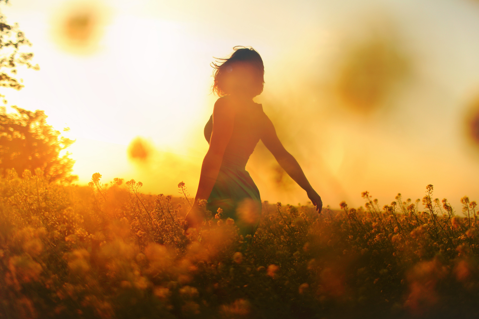 Silhouette of Woman on Flower Field during Sunset
